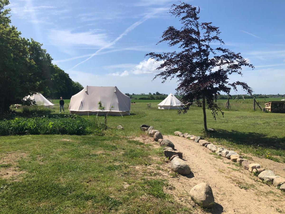 فندق Helles Have Glamping شتايغ المظهر الخارجي الصورة